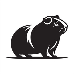 Abyssinian guinea pig vector