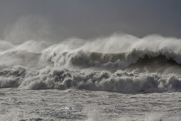 Stormy breaking waves with wind spray - obrazy, fototapety, plakaty