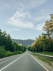 Long straight road through green trees under blue skies in daylight