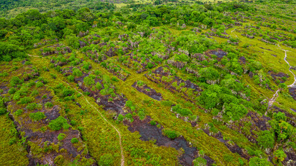 Aerial view of lush greenery and rocky formations in San Jose del Guaviare, Colombia