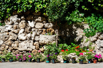Pots de fleurs contre un mur