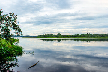 Peaceful lake nestled in lush greenery under a cloudy sky in San Jose del Guaviare, Colombia