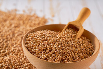 Raw organic wheats are scattered in a wooden bowl close up.