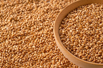 organic wheats are scattered out of the wooden bowl on a light table, selective focus.