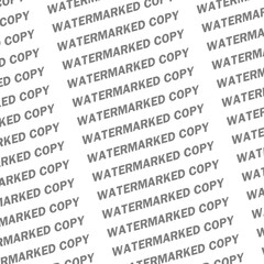 Watermark, Digital Watermarking Copyright License, example Copyright Watermark Background Image Watermark, Spiral, Rug, Coil Transparent