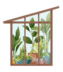 Houseplant and macrame plant growing in hothouse. Greenhouse and macrame plants isolated on white background. Cartoon flat illustration.