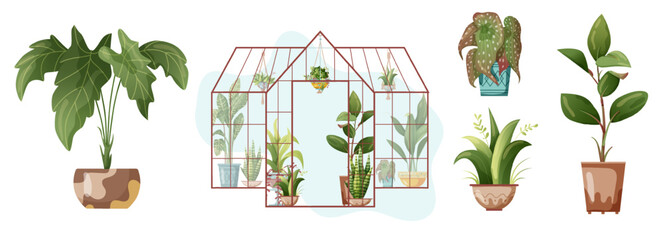 Houseplant and macrame plant growing in pots. Greenhouse, flower rack and macrame plants isolated on white background. Cartoon flat illustration.