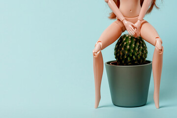 the doll sits on a cactus. Vascular structures in the lower rectum and acute pain concept, blue background with copy space. Haemorrhoids - obrazy, fototapety, plakaty