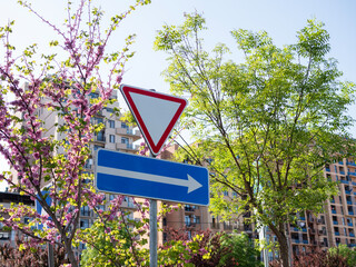 Blue traffic sign with arrow surrounded by trees, buildings, and blue sky