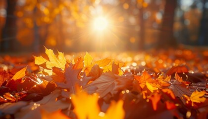 A beautiful autumn scene with leaves on the ground and a bright sun shining through the trees