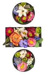 Division sign made of real natural flowers and leaves on white background. - 791845003