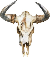 Watercolor illustration of a western animal skull isolated.