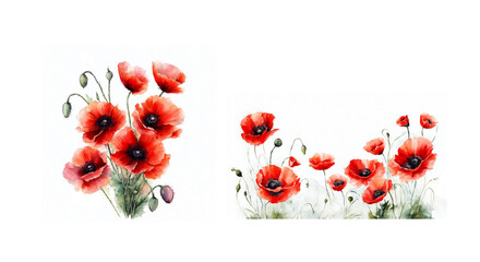 Elegant watercolor poppies on white background for greeting card design, invitations or as decorative elements for text or other content