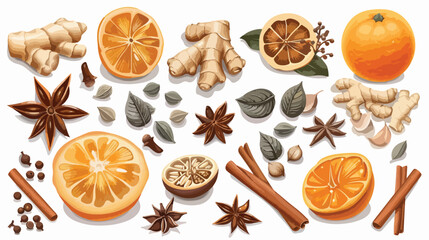 Mulled wine spices hand drawn realistic vector illustration