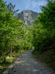 Obraz premium Der Nationalpark Paklenica bei Zadar in Kroatien