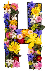 Letter H made of real natural flowers and leaves on white background isolated.