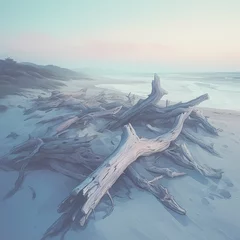 Poster Majestic Driftwood at a Secluded Shore - A Timeless Seascape © RobertGabriel