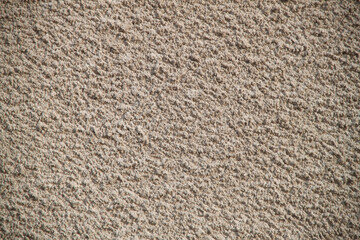 Texture of old textured concrete wall. Gray concrete texture
