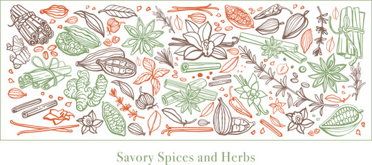 Hand drawn savory spices and herbs. Set. Vanilla, cinnamon, garlic, ginger, anise, basil, rosemary, turmeric, thyme, pepper, peppercorns, cocoa, coffee, badian, cloves, chili. Mulled wine. Template.