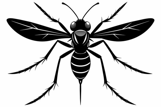 black wasp insect on white background clip art preview