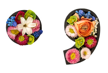Point and comma marks made of real natural flowers on transparent background.