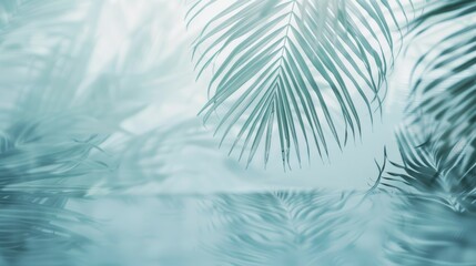palm leaves and water