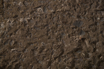 Texture of old textured concrete wall. Gray concrete texture