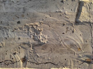 Texture of old textured concrete wall. Gray concrete texture