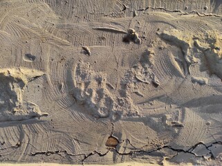Texture of old textured concrete wall. Gray concrete texture