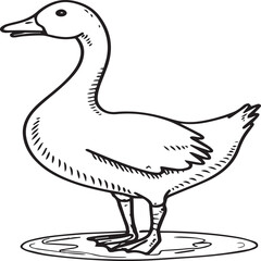 Goose coloring pages. Bird outline for coloring book