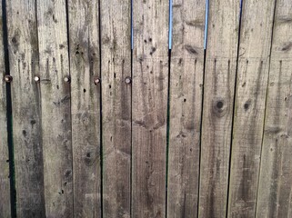 Old wood texture. Photo of natural wood. Rough wooden texture.