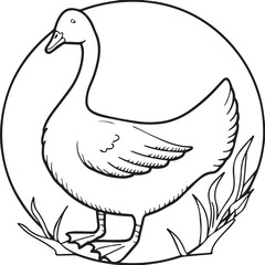Goose coloring pages. Bird outline for coloring book