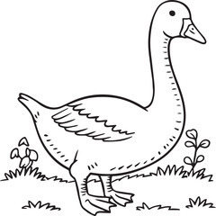 Goose coloring pages. Bird outline for coloring book