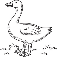 Goose coloring pages. Bird outline for coloring book