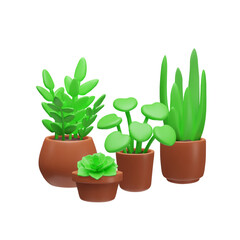 Variety of potted plants 3D icon set vector illustration