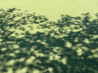 Dappled shadows of small trees (unidentified species) on artificial turf at a wedding venue in a...