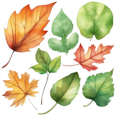 A set of various watercolor leaves showcasing different colors and stages of autumn, beautifully contrasted on a black backdrop. PNG