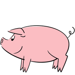 Cute little pig posing  and smiling side view