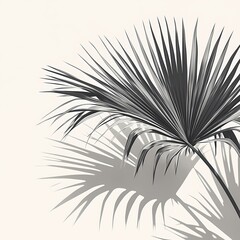 Untouched Beauty - A Large Palm Frond Silhouette in Sunlight and Shadow