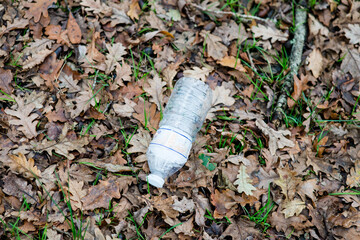 Obraz premium Plastic bottle thrown into nature and polluting the forest