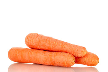 Three sweet carrots, macro, isolated on white background.