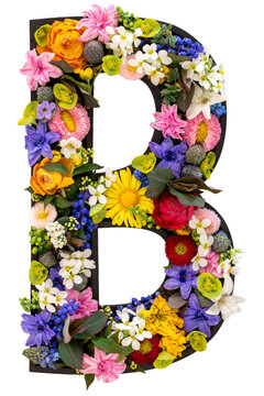 Letter B made of real natural flowers and leaves on transparent background.