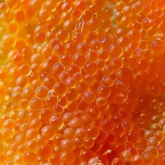 A close up of a bunch of orange fish eggs.