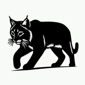 bobcat silhouette vector illustration White Background