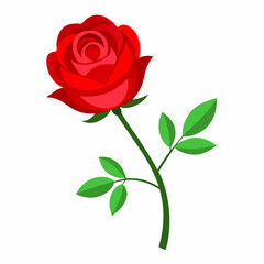 A Red rose vector art illustration (5)