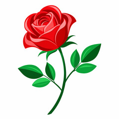 A Red rose vector art illustration (6)