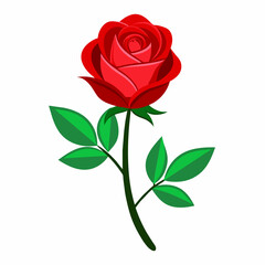 A Red rose vector art illustration (4)