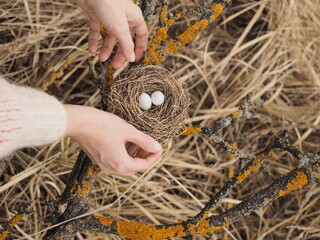 hands holding nest
