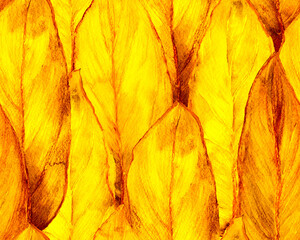 Schefflera Arboricola Seamless Pattern.