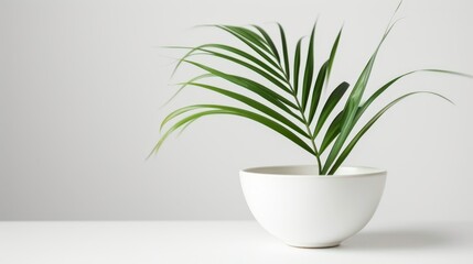   A white vase holding a close-up of a plant on a table against a white wall background